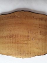 Ancien plateau Vénitien, Florentin