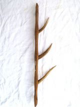 patere ancienne manufrance, saint  etienne