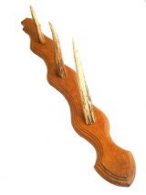 patere ancienne manufrance, saint  etienne