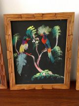 Tableaux oiseaux vintage années 50