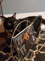 porte-revues vintage en métal doré des années 60