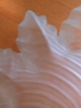 Abat jour ART NOUVEAU  en verre moulé et griffe en laiton