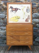 9 affiches pédagogiques + cadre en bois