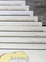 9 affiches pédagogiques + cadre en bois