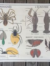 9 affiches pédagogiques + cadre en bois