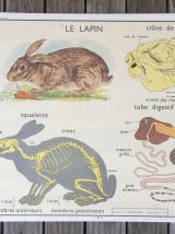 9 affiches pédagogiques + cadre en bois