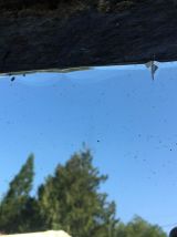 Miroir Biseauté année 30