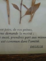 Cadre Fleurs séchées façon herbier vintage Bretagne