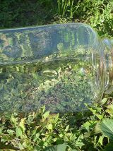 grand  bocal carré  en verre bullé ,  vintage