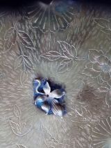 Table d'appoint style art-déco