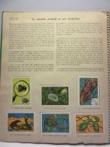 album images collection Nestlé/Kohler 1954-55