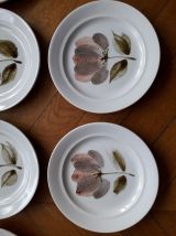 10 assiettes Saint Amand modèle CAPRI