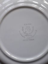 10 assiettes Saint Amand modèle CAPRI