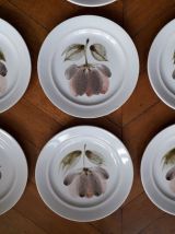 10 assiettes Saint Amand modèle CAPRI