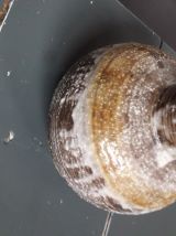 Vase vintage en céramique Germany