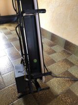 enseigne neon clan campbell