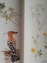 Les riches heures du Brugal, Michèle-Elisabeth Schmidt