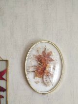 Cadre en verre bombé fleurs séchées (orchidées) 24cm 