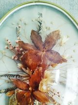 Cadre en verre bombé fleurs séchées (orchidées) 24cm 
