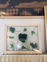 Herbier Green &amp; white 