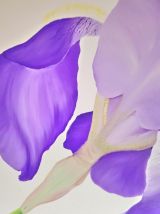 Peinture à l'huile "Iris" 