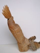 Perroquet sculpture en bois 