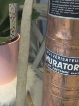 Pulvérisateur Muratori