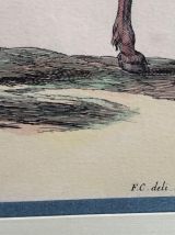 Estampe en couleurs, XXème