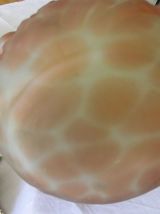 Grand vase Art Nouveau