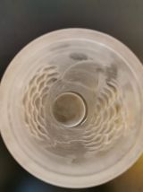 Vase en verre dépoli style art déco 