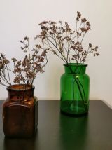 Paire de bocaux d'apothicaire 