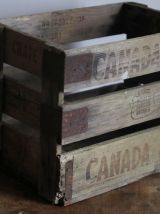 Boite Vintage Canada Dry