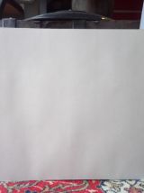 Belle impression Carlos von riefel pinx - "Prunus Avium"