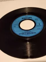 Vinyle 45 Tours Nestor Et David Michel L'écololo 