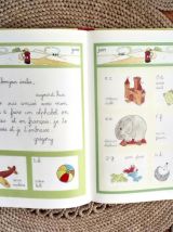 Le grand livre d'Emilie - Domitille De Pressensé 1982