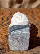 Buste de Bach en albâtre sur socle en marbre