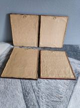 Lithographies d'oiseaux signées J. Gould 