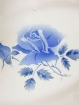 Ravier Plat oval Digoin Sarreguemines Rose bleu modèle Canne