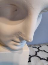 grand buste d'Appollon en plâtre