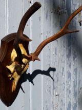 Massacre de cerf sur écusson