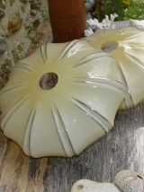 Lot de 2 abat-jour Art Nouveau-ArtDéco