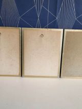 cadres lithographies oiseaux cadre doré