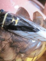 Vase à anses en céramique émaillée cigale Provence signée