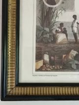 Cadre illustration Ile de La Réunion vintage