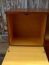 Meuble scandinave en teck éros 1960