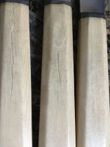 10 couteaux manche corne