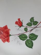 5 assiette à dessert Sarreguemine