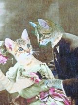 Chats amoureux  retros 1900. Photomontage. 