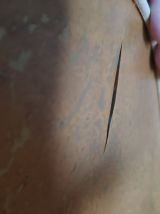 suspension XXL fleur de lotus  Robert Schuytener 2 corolles