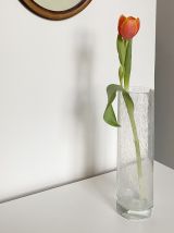 Vase en verre soufflé transparent